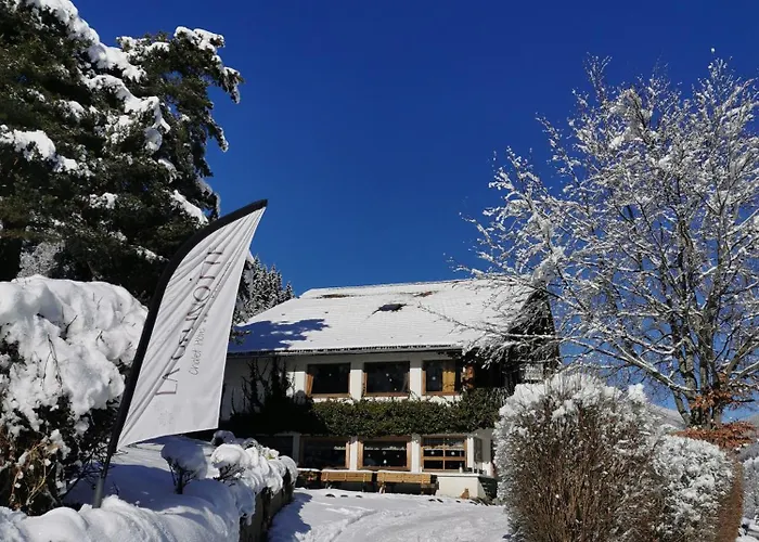 Hôtel Ping Pong: La Gelinotte